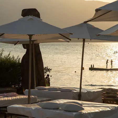 Riva Boutique I Club I Loges I Restaurant * Gambarogno