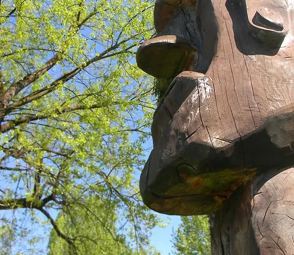 Riva Boutique I Restaurant I Club 호텔 Gambarogno