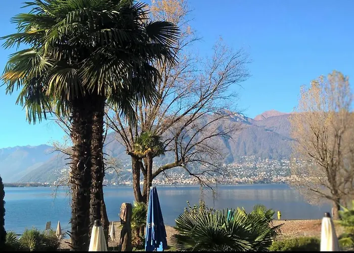 Hotel Riva Boutique I Restaurant I Club